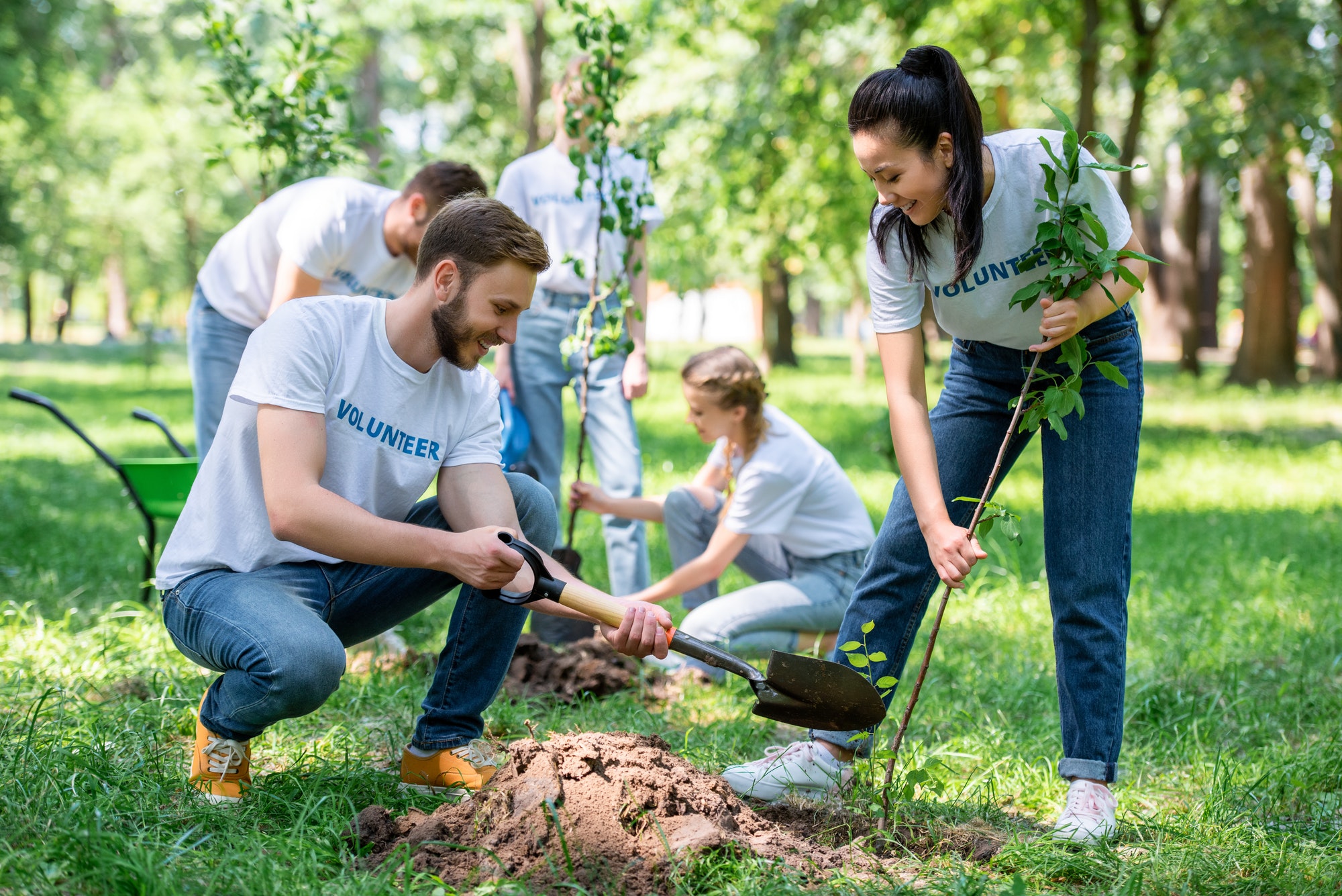 young-volunteers-planting-trees-in-green-park-together.jpg